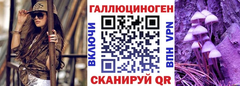Галлюциногенные грибы Psilocybe  Пикалёво 